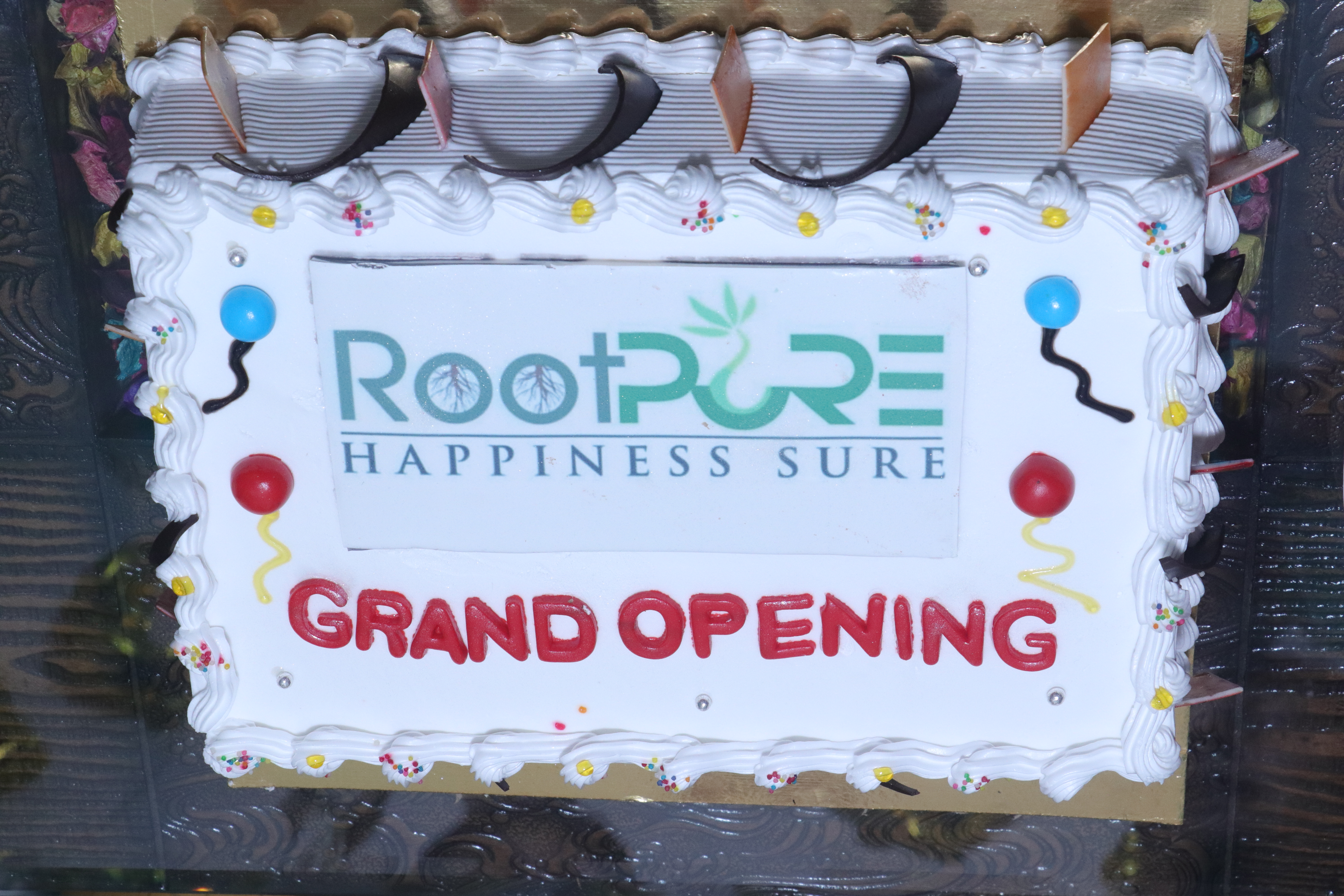 Read more about the article Rootpure Company Opening |  Rootpure का धमाकेदार ओपनिंग|