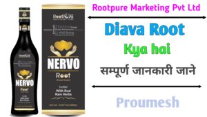 Read more about the article Nervo Root : – Nervo Root Kya hai | नेर्वो रूट क्या है |