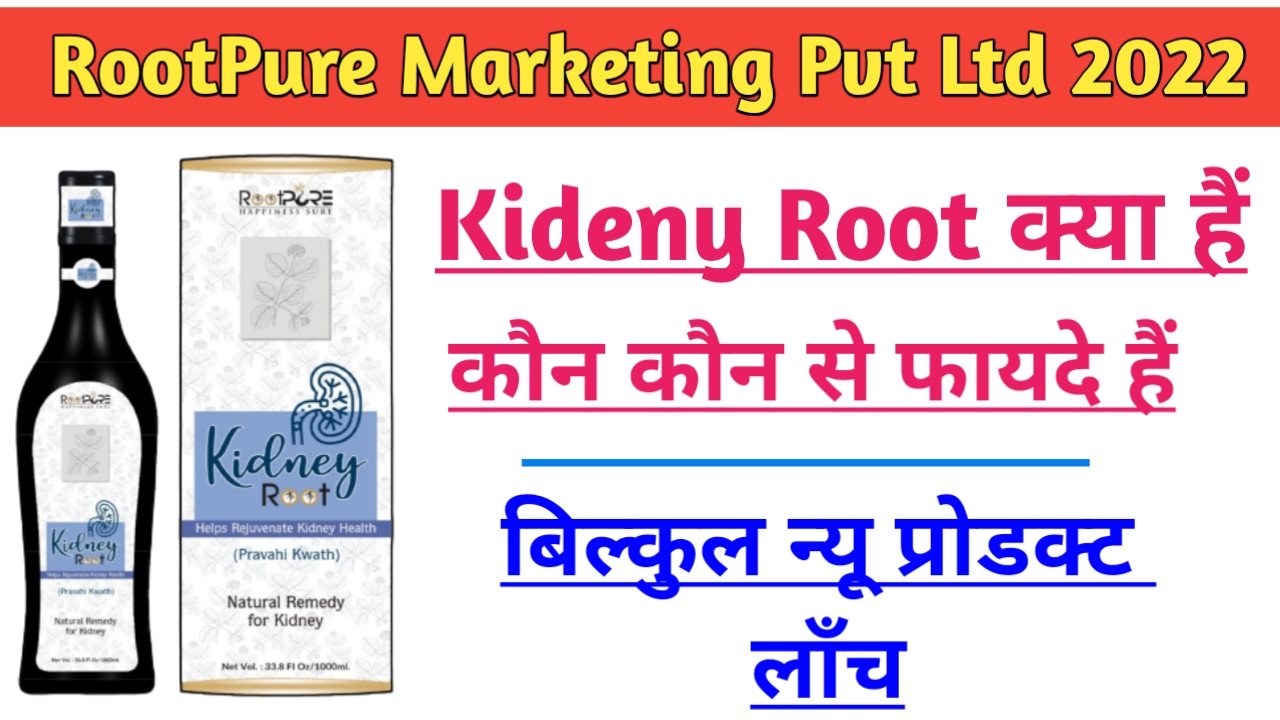 Read more about the article Kidney Root kya hai in 2022 | किडनी रूट क्या है