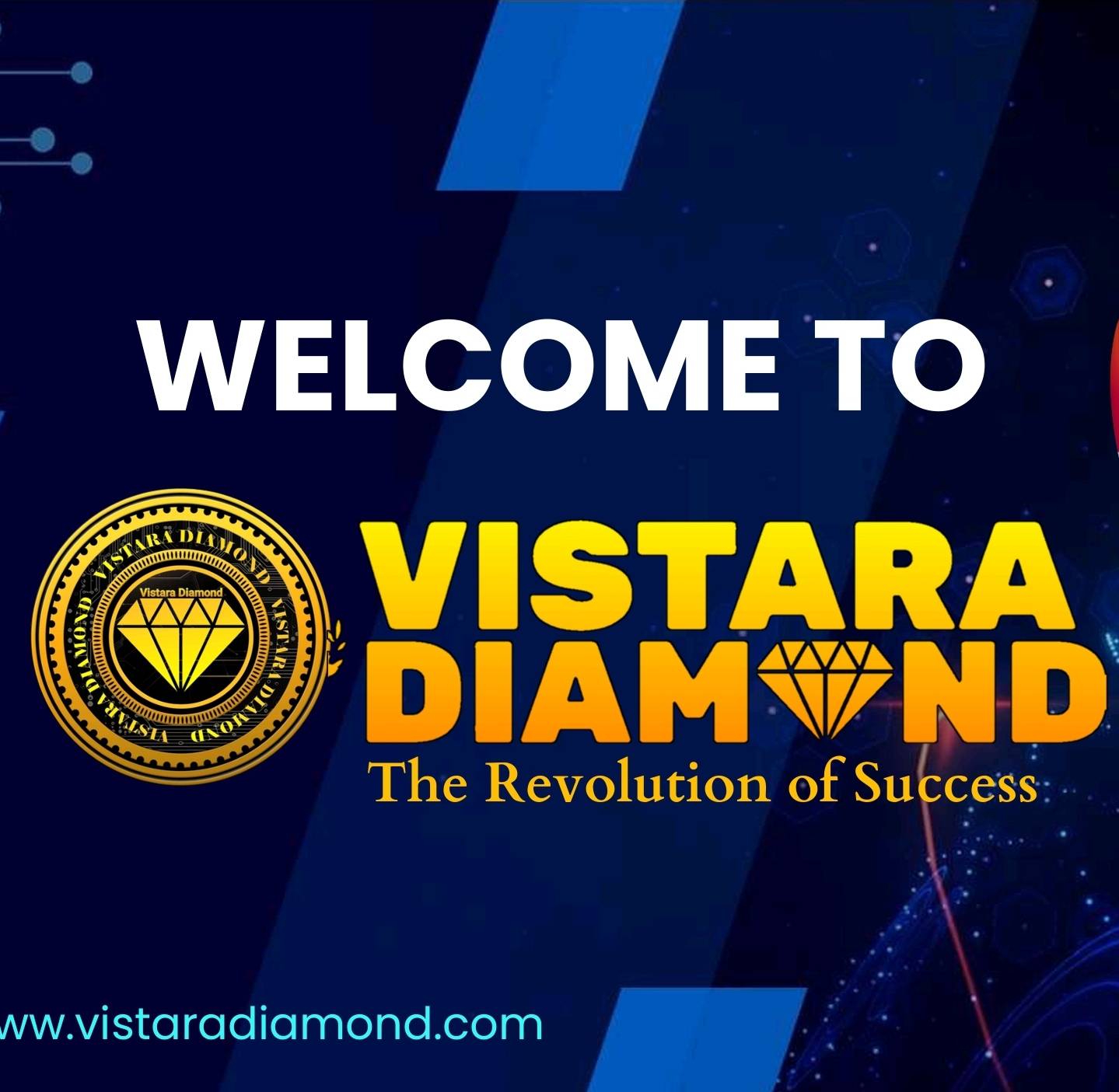 VISTARA DIAMOND: Unlocking New Opportunities with Forex Trading and Innovative Income Plans